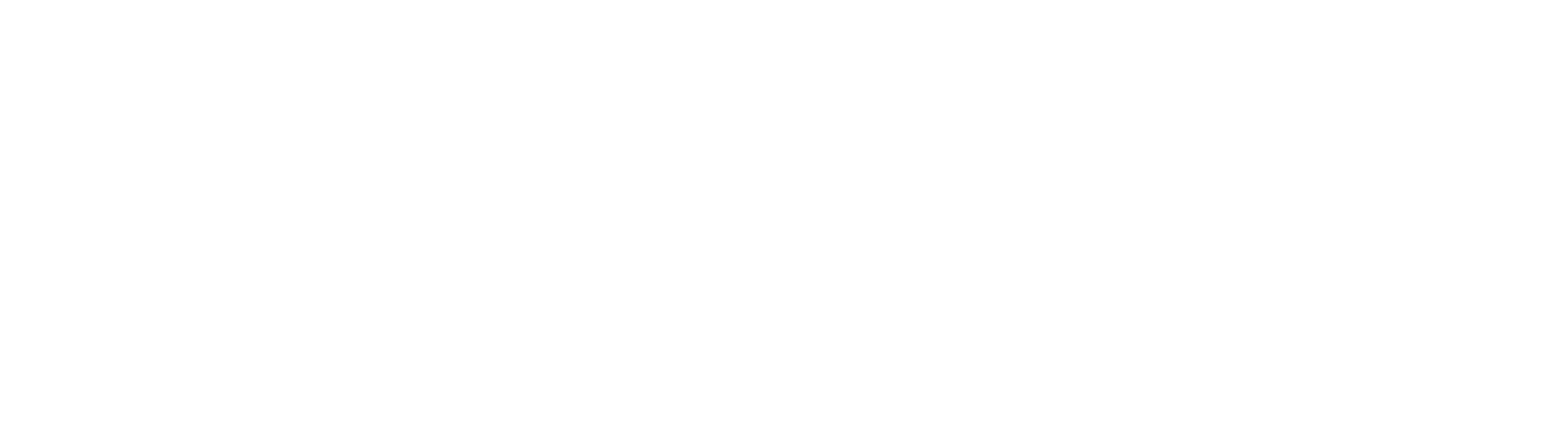 optimyzed logo white